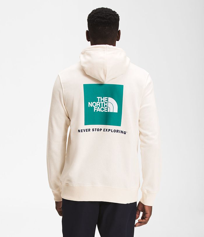 Sudadera Con Capucha The North Face Hombre Blancas Box Nse Pullover 21954GLWX